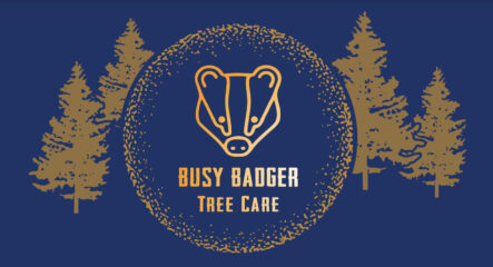 Busy Badger Tree Care